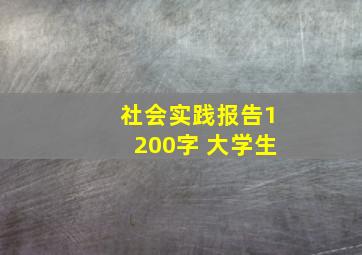 社会实践报告1200字 大学生